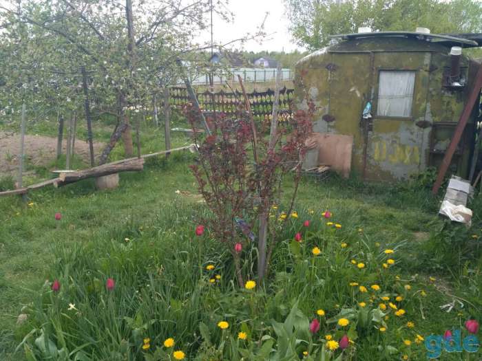Продам дачный участок 10 соток, фотография 5