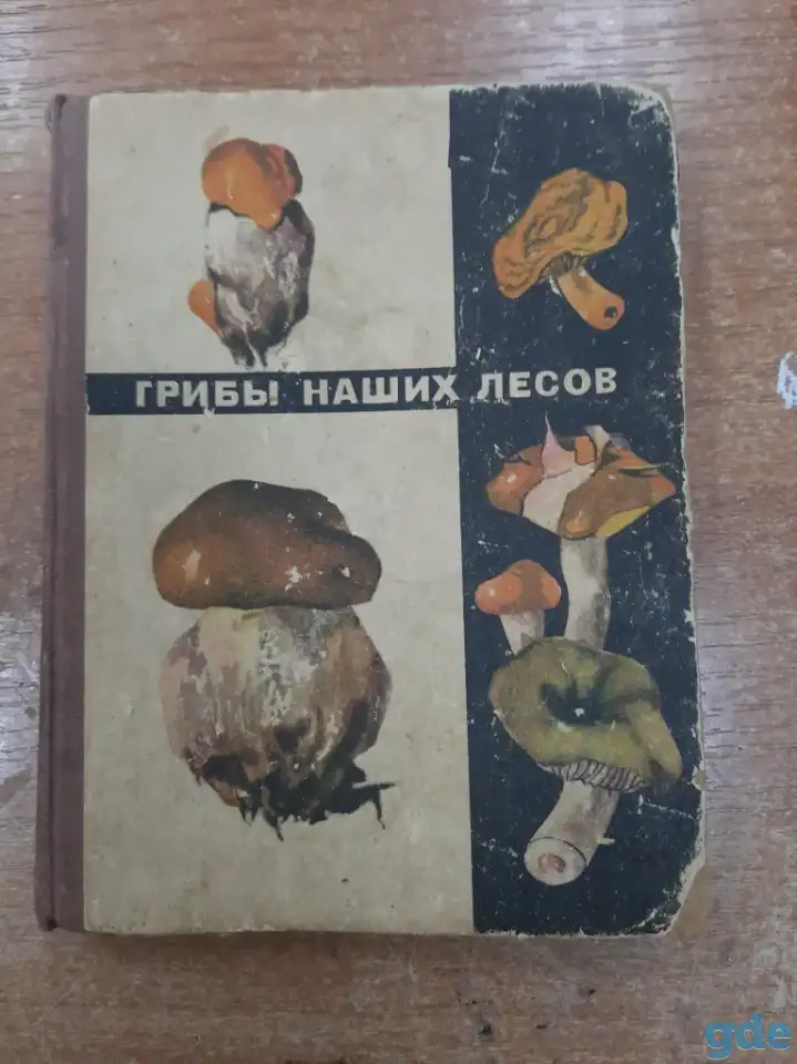 Книга 