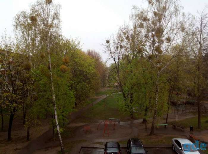 квартира, фотография 9