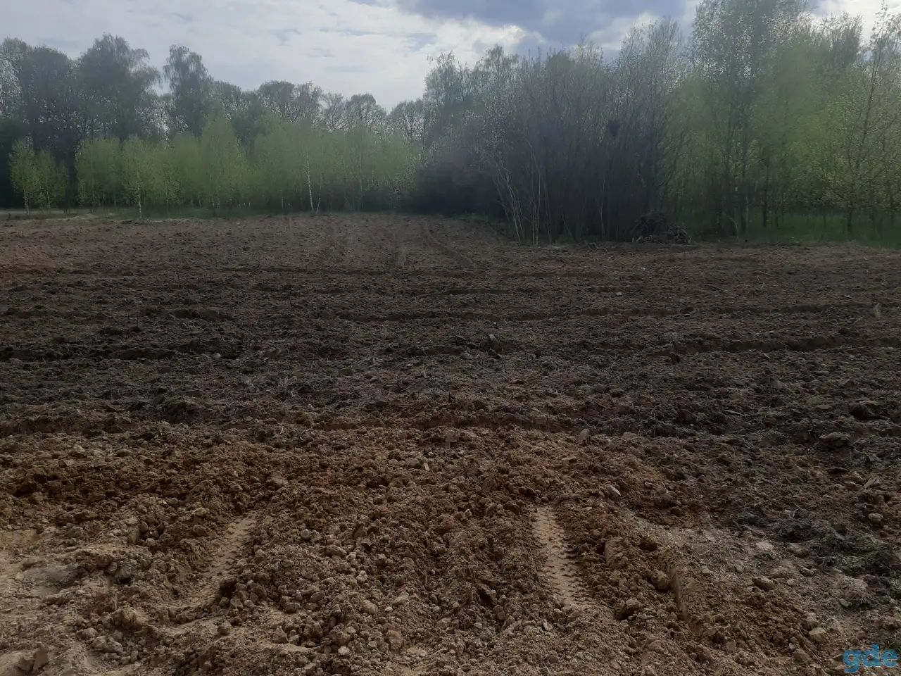 Сдам в аренду разработанный участок 20 соток под пшеницу или картошку., фотография 1