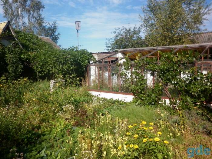 Продажа дома в г. Глубокое, фотография 8