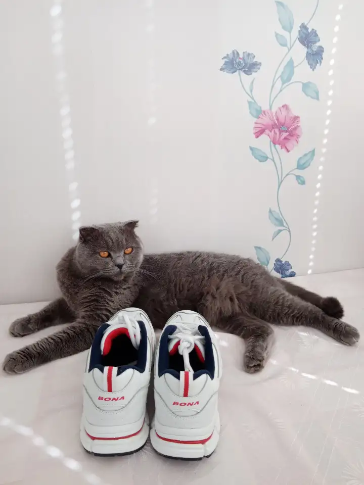 Продам: кроссовки BONA, фотография 5
