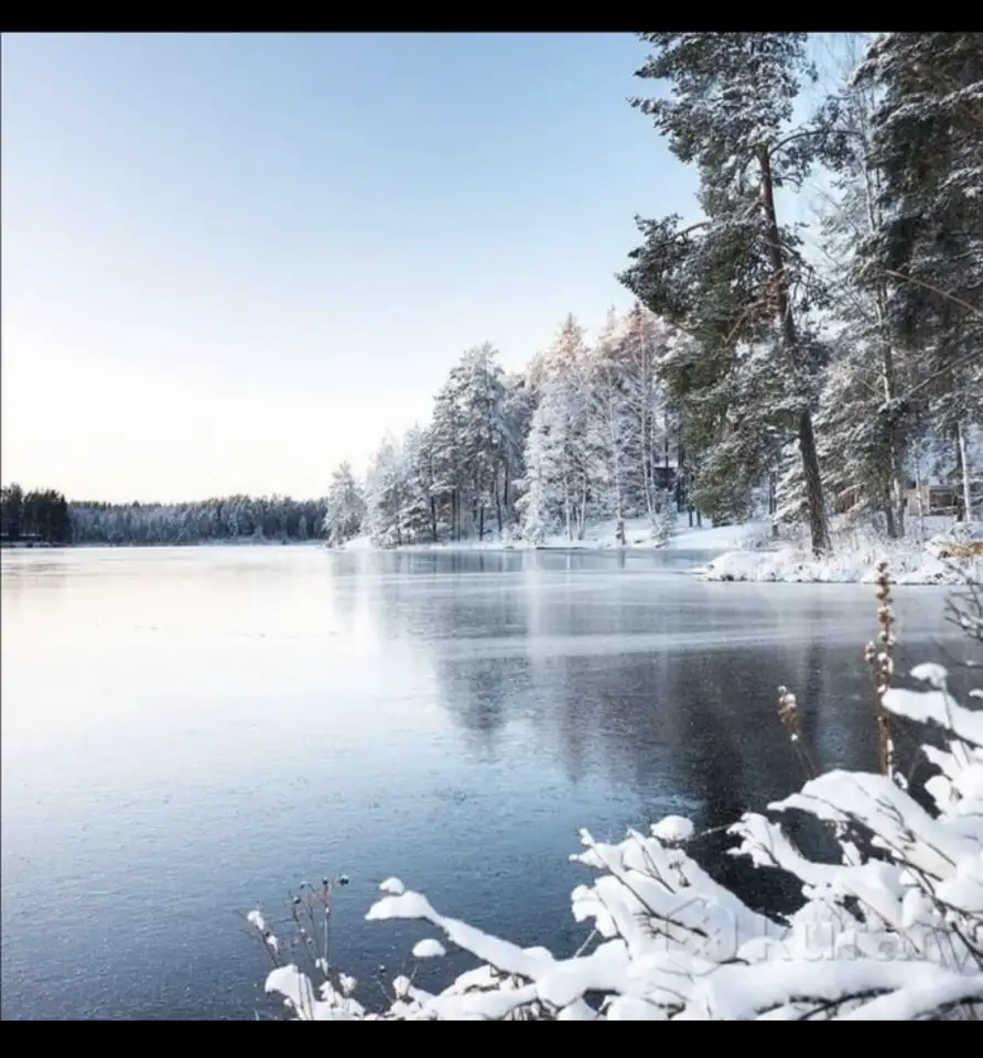 Участок в Беловежской пуще., фотография 6
