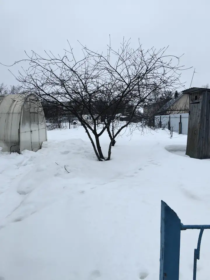 Пол дома, фотография 9