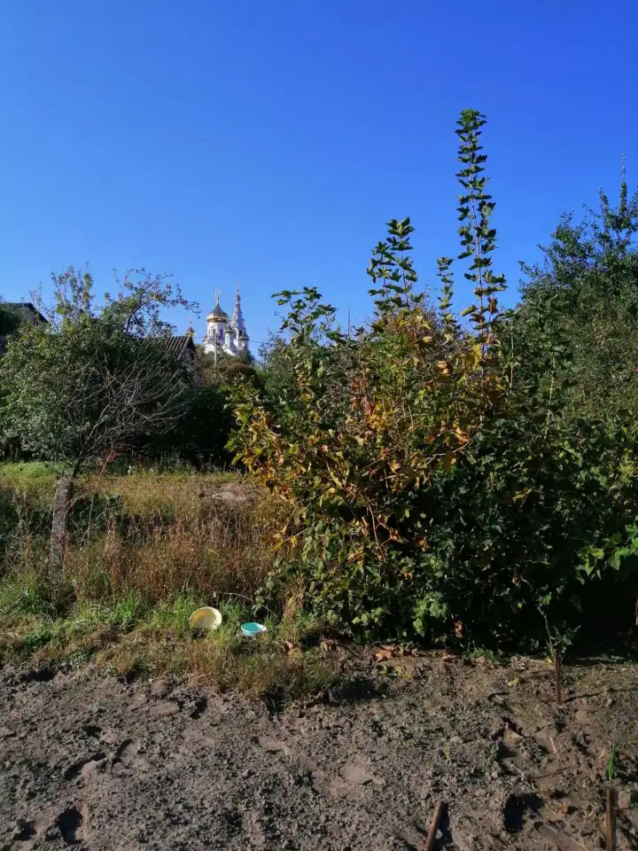 Продам участок, г.Каменец ул Пивненко 28., фотография 2