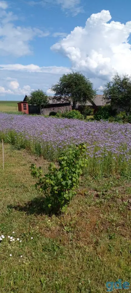 Продам дом, деревня Приямино, Борисовский район, Минская область, фотография 8