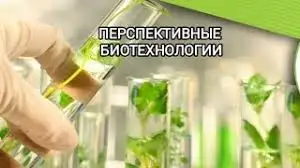 Ищу партнёров в Беларуси, фотография 1