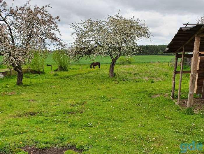 домик на окраине г.Белынич, фотография 4