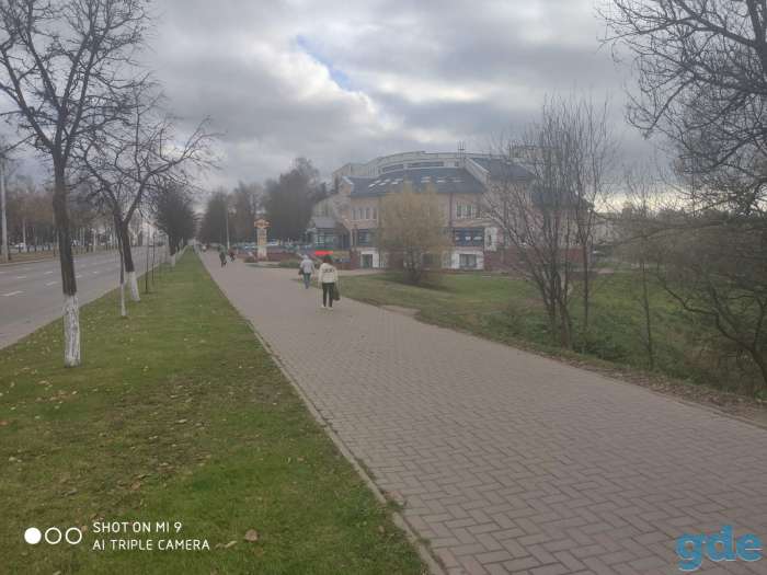 Сдается в аренду Торговое помещение, г. Витебск, просп. Московский, р-н Первомайский район, фотография 4