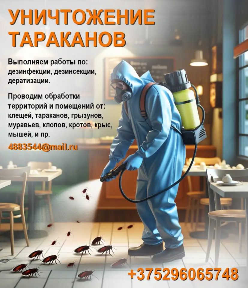 Избавление от  клещей тараканов, крыс., фотография 1