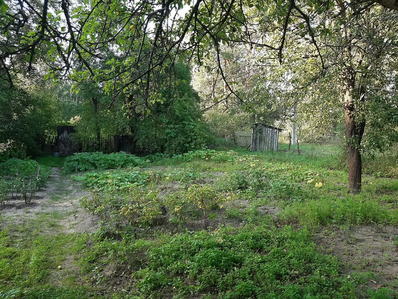 Продам дачу, фотография 5