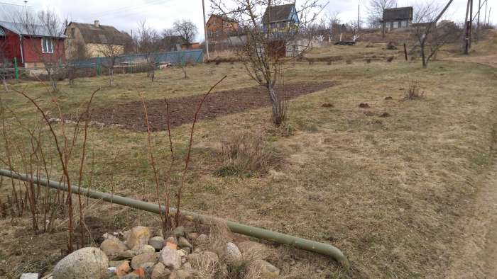 Срочно продам с/т Фантазия-Силичи, фотография 7
