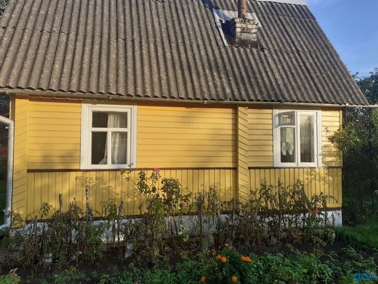 дача, Дружба-Принта, фотография 1
