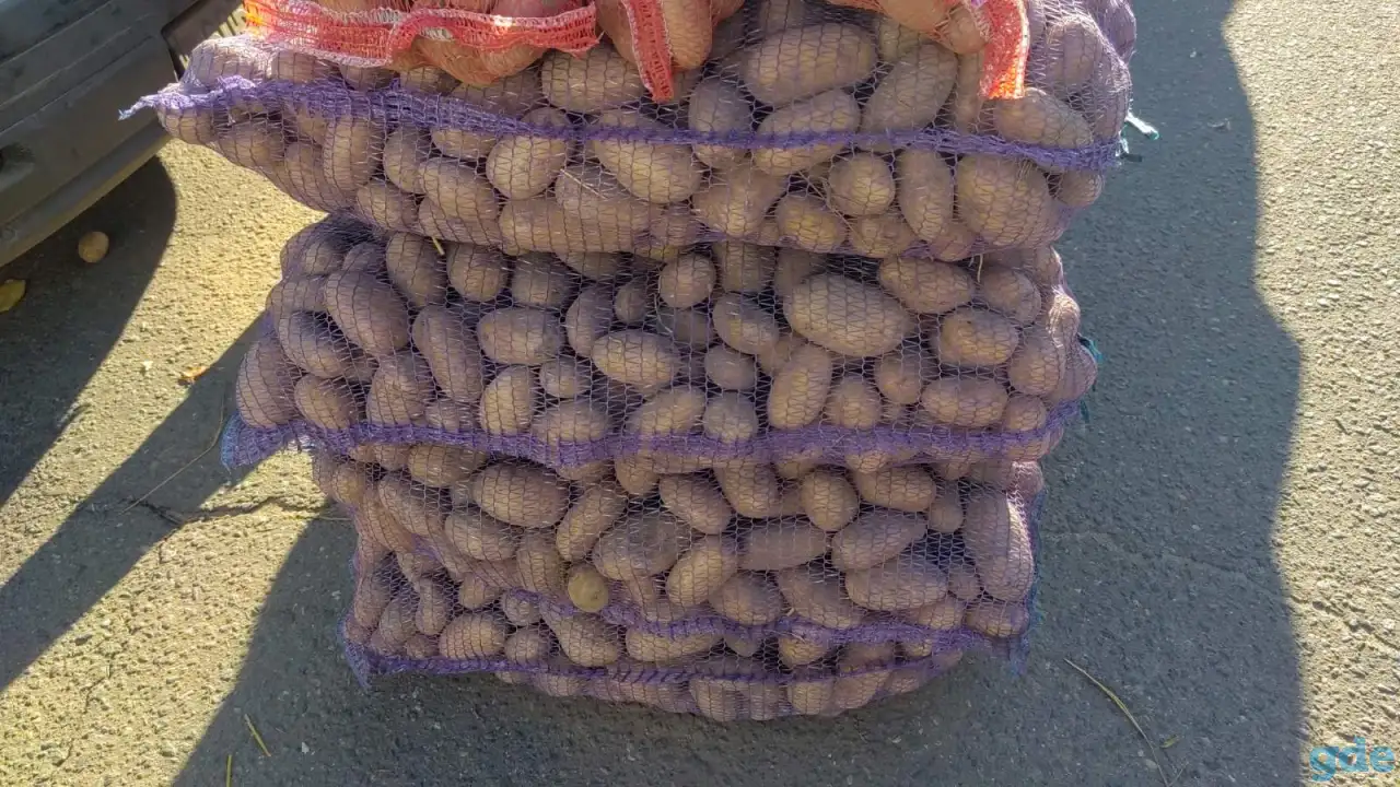 Продам картофель, фотография 1