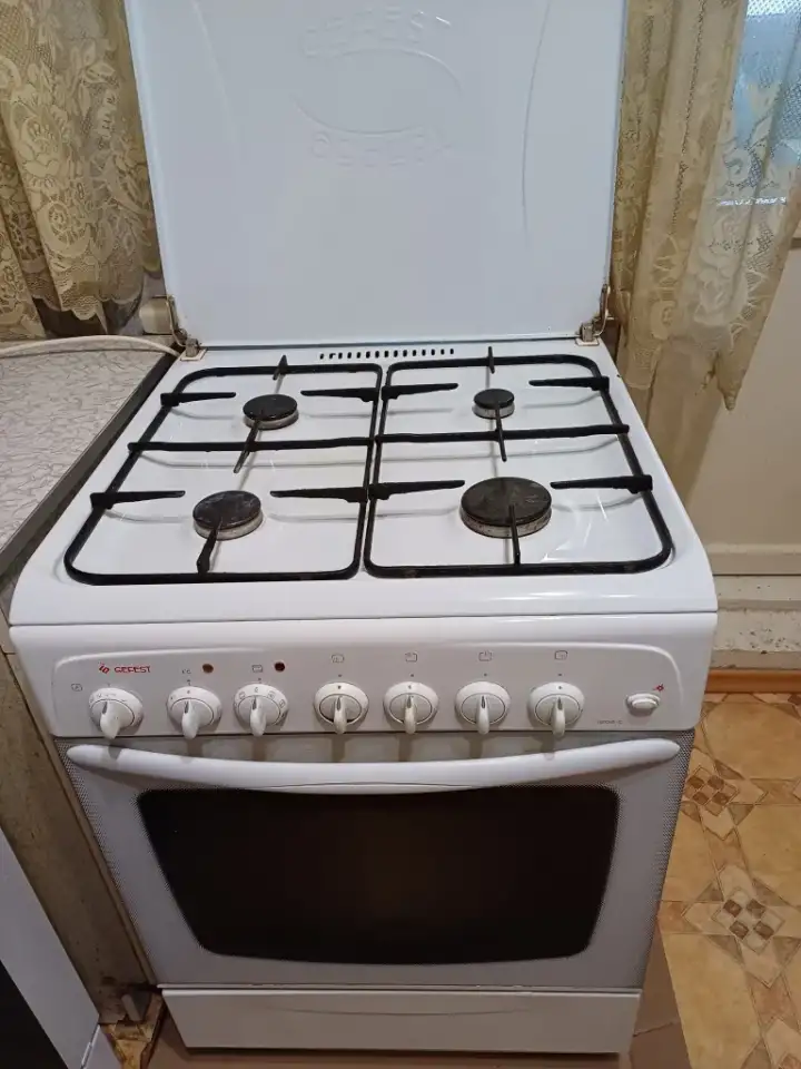 Газовая плита Гефест, фотография 1