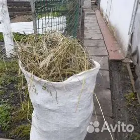 Сено, фотография 1
