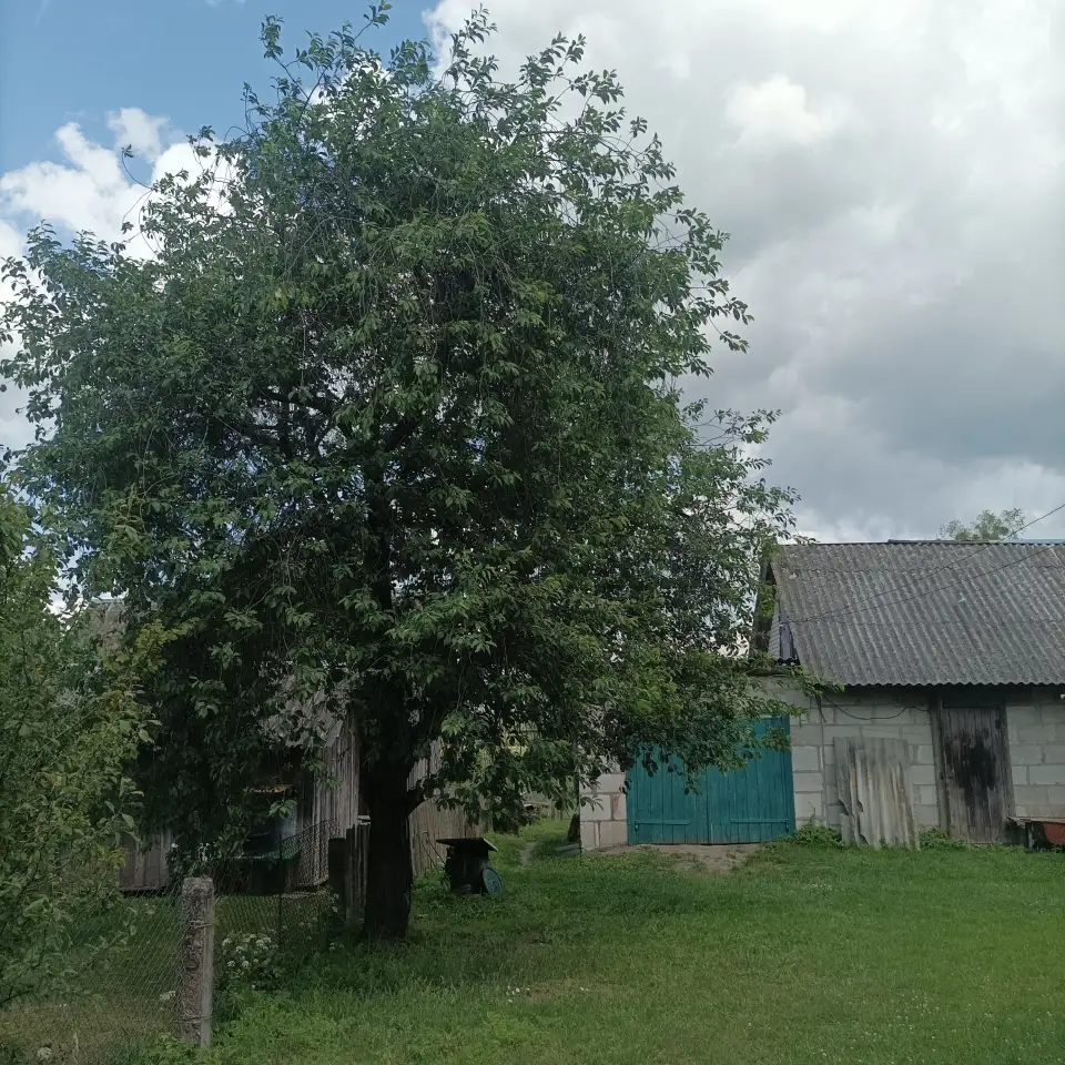 Продам квартиру, Острино ул. Терешковая д.1., фотография 4