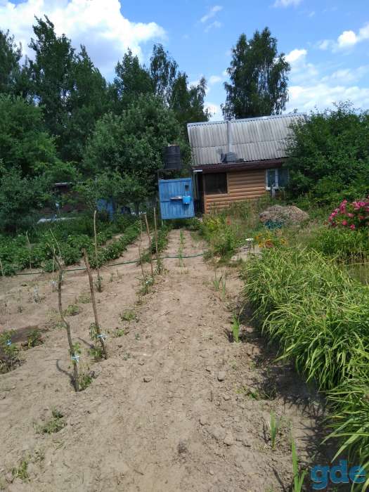 Продам дачу 13 соток, 2 км от Гомеля, Будатень, фотография 3