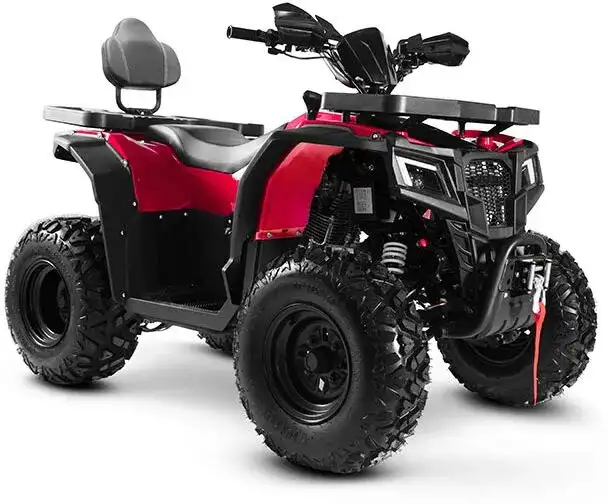 Квадроцикл Progasi RaceJumper 200 (к-т з/ч), фотография 5