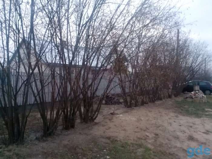 продается дом с хозпостройками д. Домашицы Пинского района, фотография 5