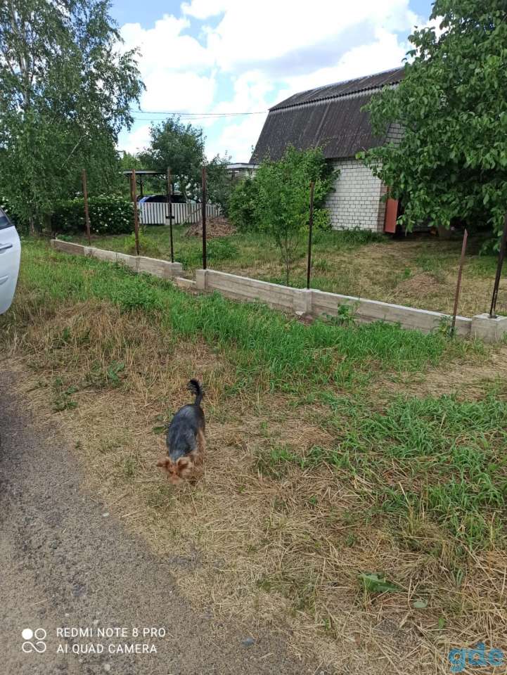 Продам, Д.Горки, Октябрьский сельсовет., фотография 4