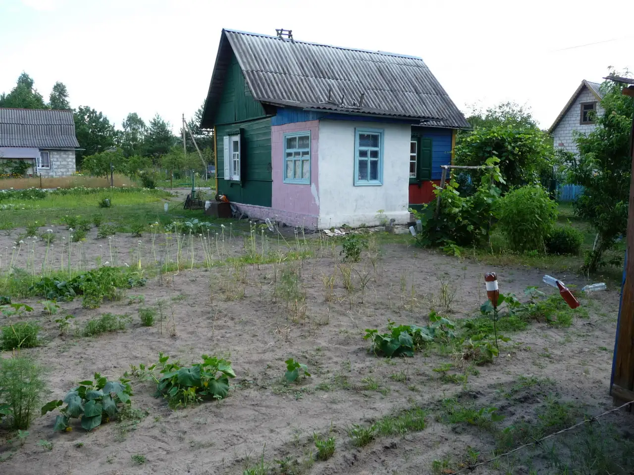 Дача с красивым, уютным домиком и большим огородом 12.4 сот. в СТ Сосновый бор-2, фотография 7