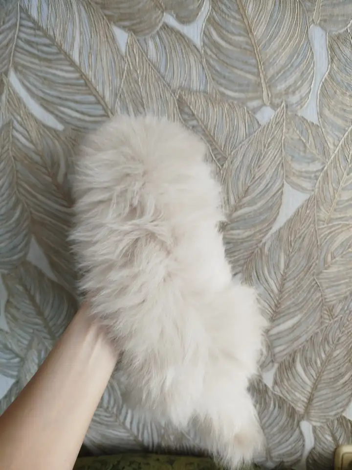 Щенки шпица, фотография 7
