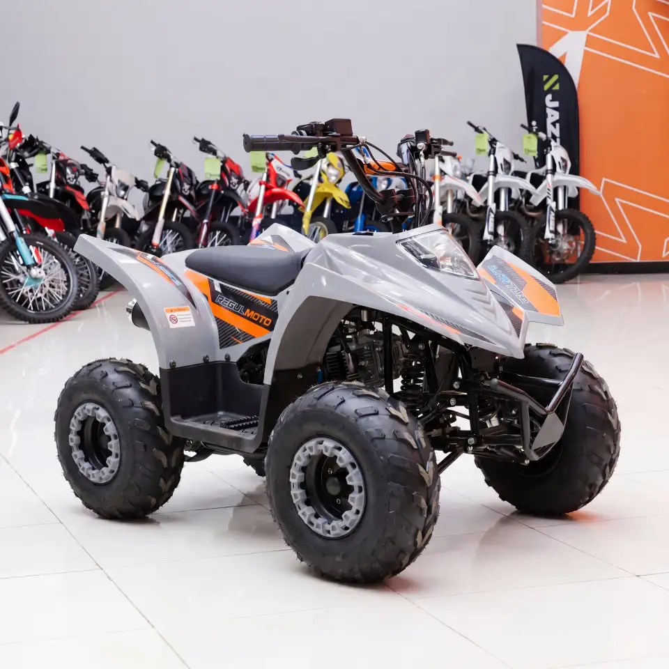 Квадроцикл Regulmoto SK11 (к-т з/ч), фотография 3
