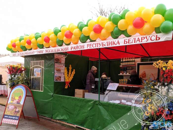 Оформления воздушными шарами (Аэродизайн), фотография 9
