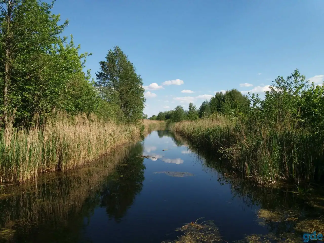 Продам фермерское хозяйство Перки, фотография 11