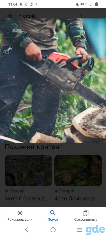 Обрезка деревьев. Недорого., фотография 4