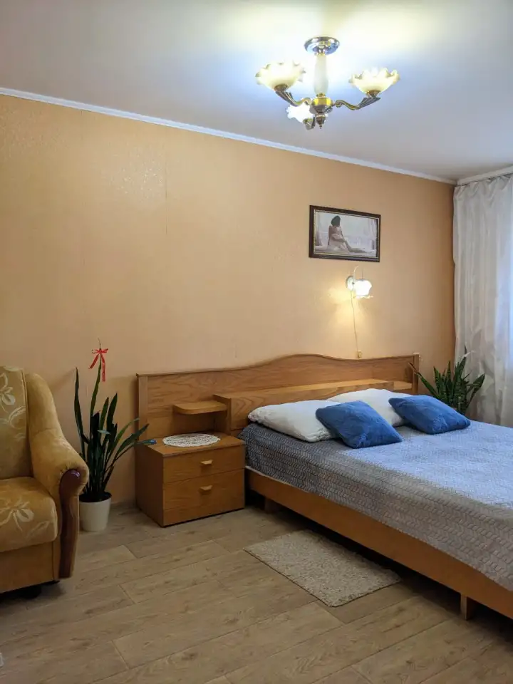 2-комнатная квартира на сутки в Центре, улица Ленина дом 24, корпус 1, фотография 6