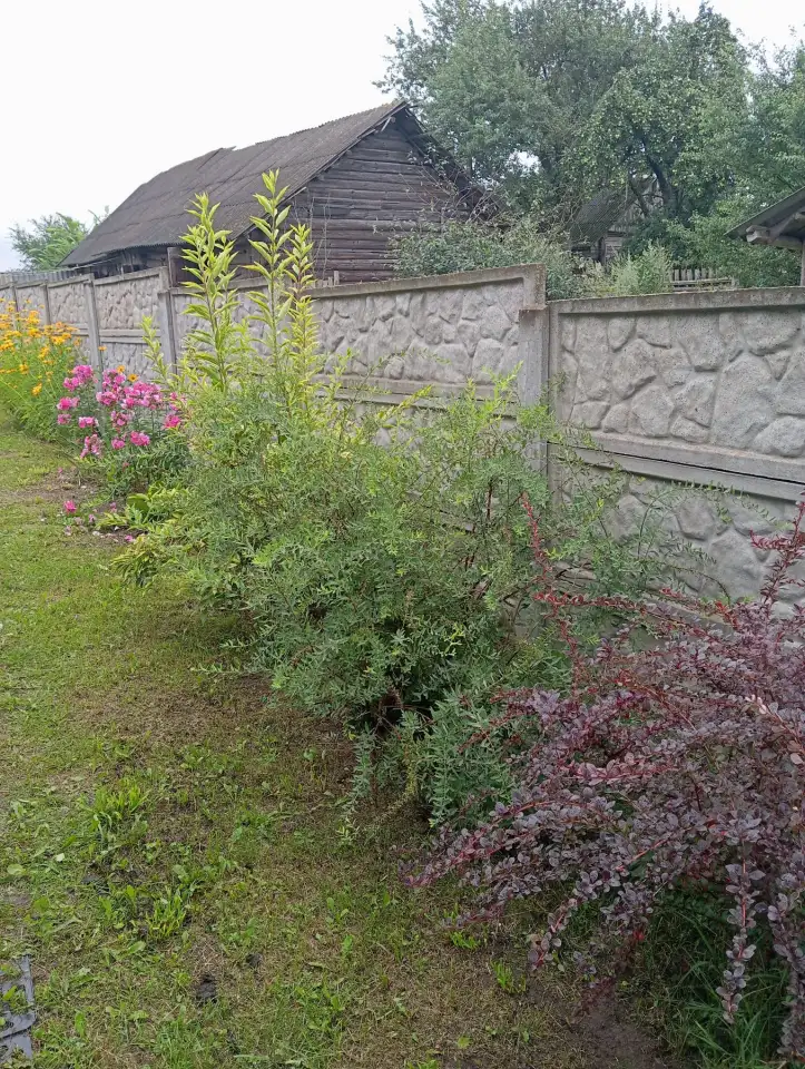 Продается домик деревянный теплый в д.Стайки Воложинского района, фотография 6