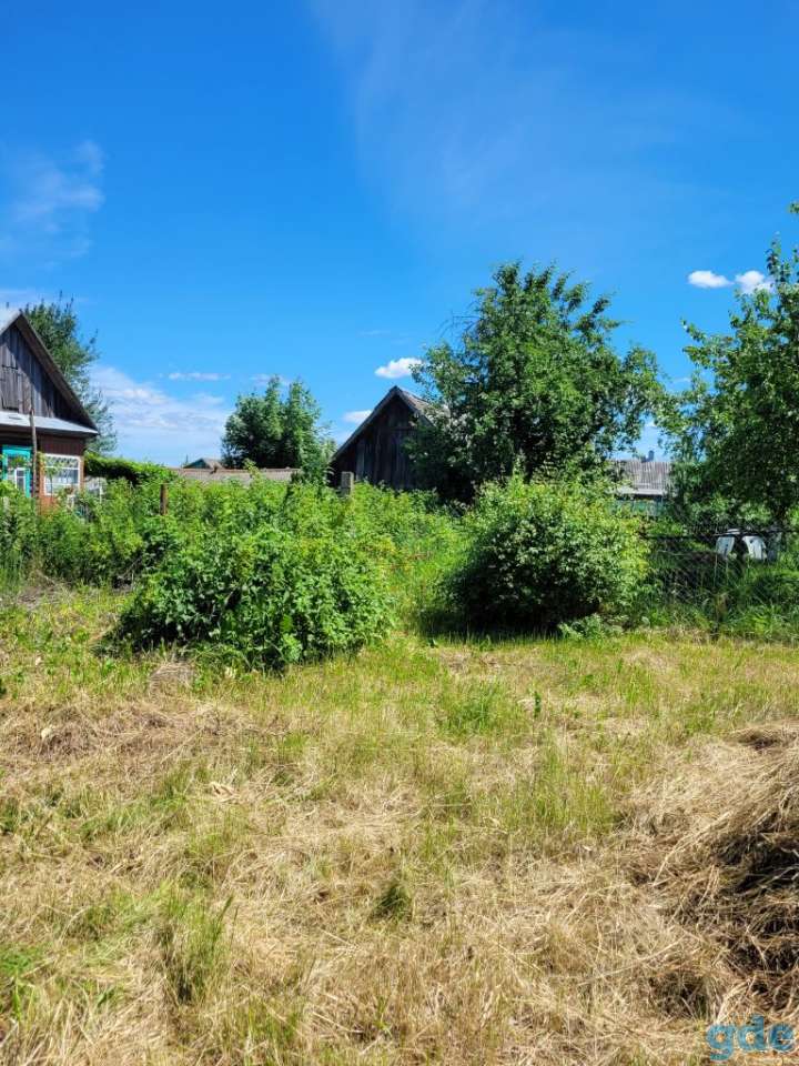 Продаётся участок, Центральная ул, 28, Осово, Протасевичский сельсовет, Осиповичский ра, фотография 7