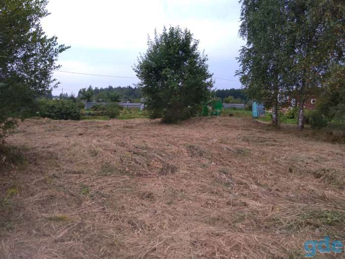 ​Продаётся земельный участок в с/т Яловица, фотография 8