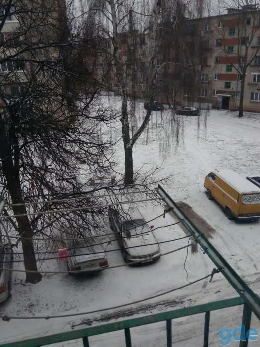 Квартира срочно, Бульвар Бородинского 9/1, фотография 5