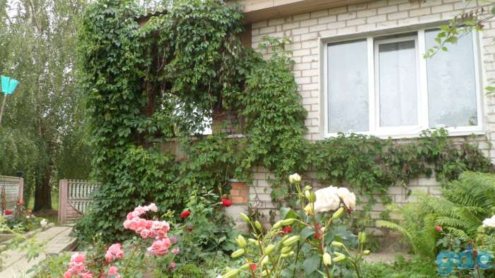 продам дом,кировский р-он д. Волосовичи, фотография 1