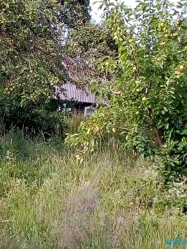 Дом, Смолевичский р-н,Курганский с/с,д.Кленник, фотография 8