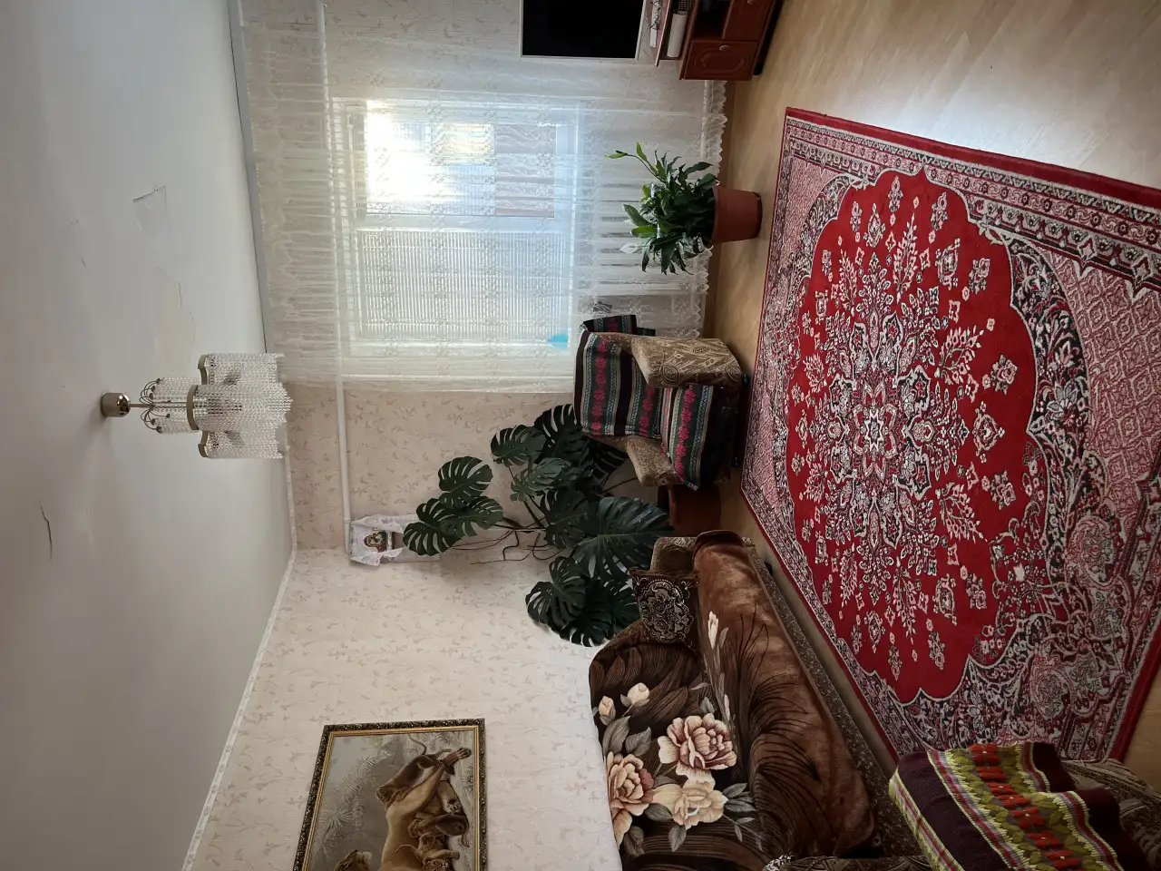 Сдам в аренду дом, фотография 4