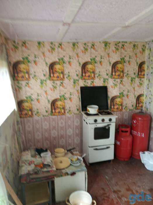 продам дачу, обл,Добрушский р-он.н.п.Красная Гора,садоводческое то-во Медик, фотография 3