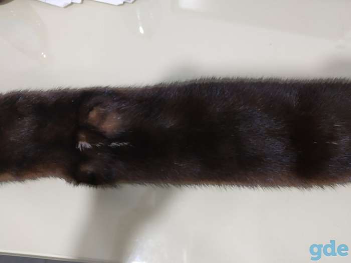 Продам тушка норки, фотография 1