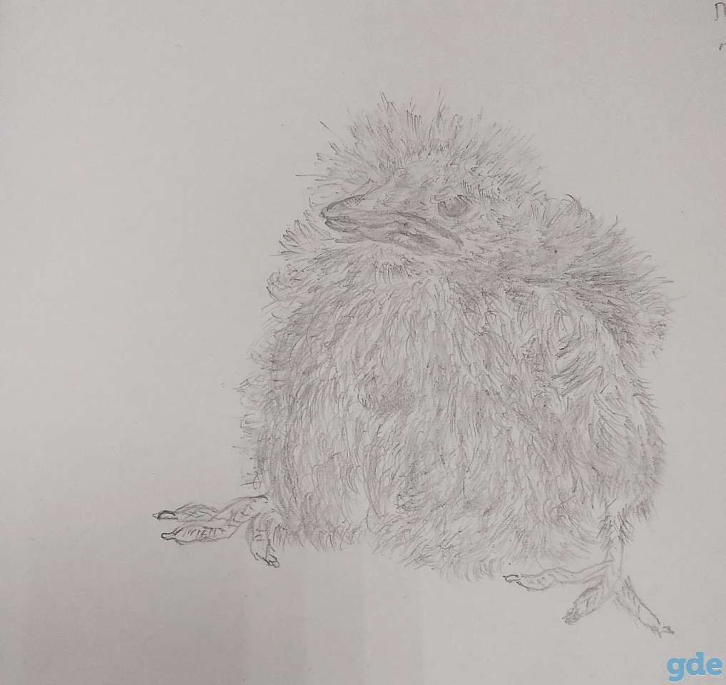 Продаются картины, фотография 2
