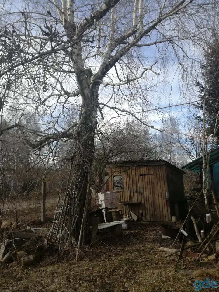 Дачный участок, фотография 3