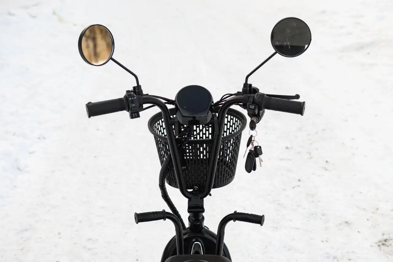 Электросамокат AVM DELTA TRIKE, фотография 12