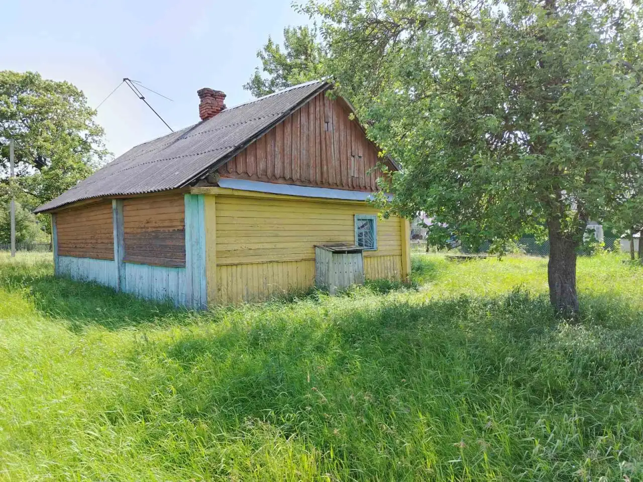 Продается уютный дом с садом у леса и реки в д. Омговичи, фотография 6