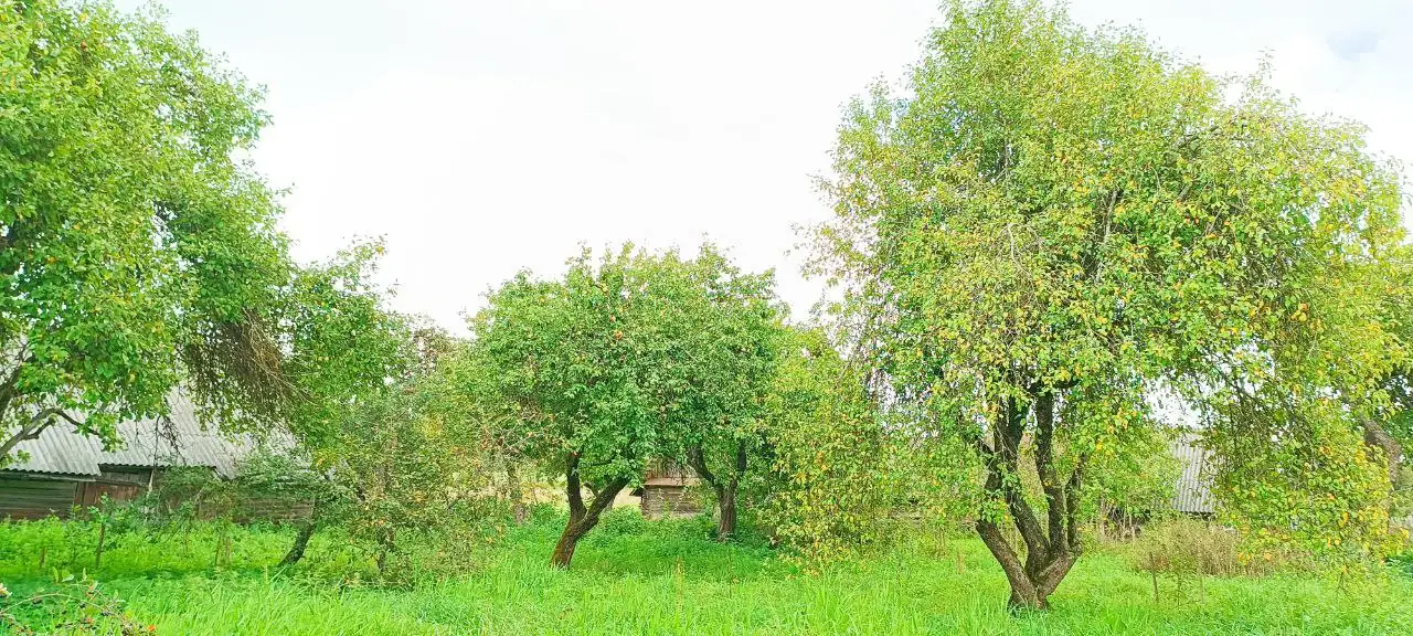 Продается крепкий дом по адресу: Минская область, Воложинский район, Вишневский сельсовет, дер. Новоселки, дом 69, фотография 8