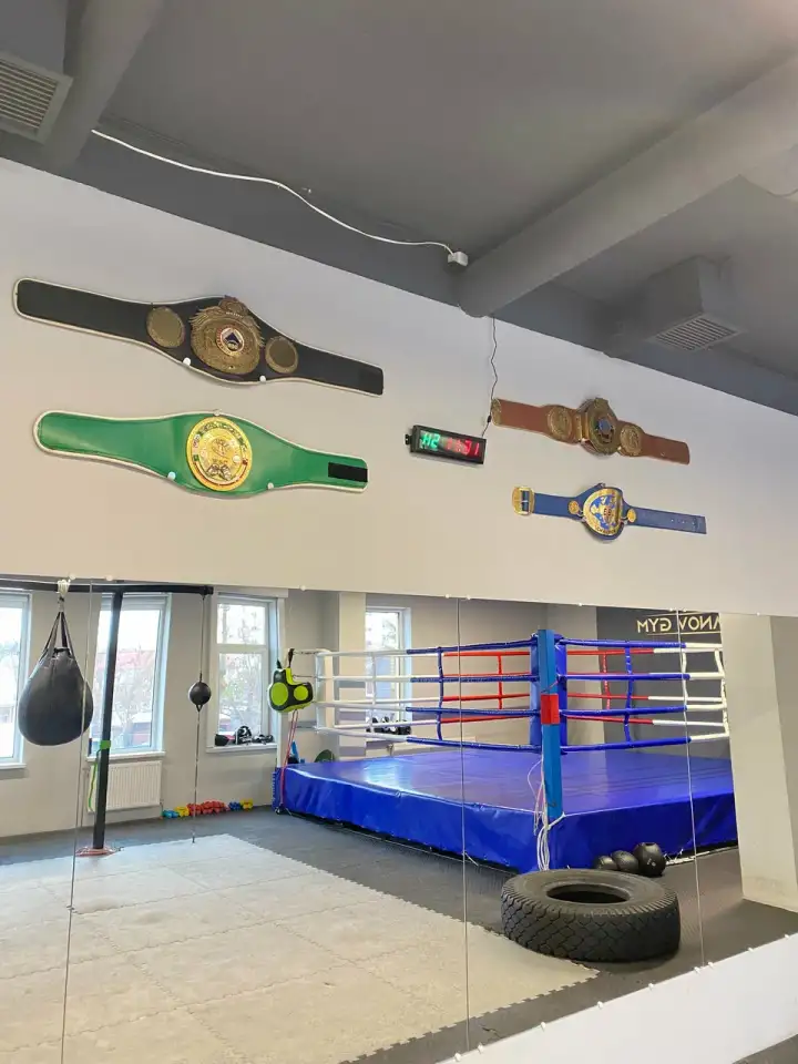 Почасовая аренда зала для единаборств Romanov gym, Сморговский тракт, 9, фотография 4