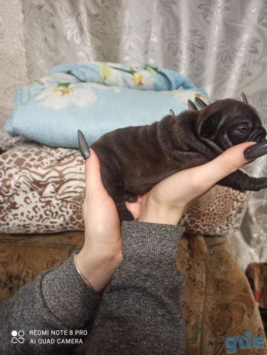 Продажа, фотография 11