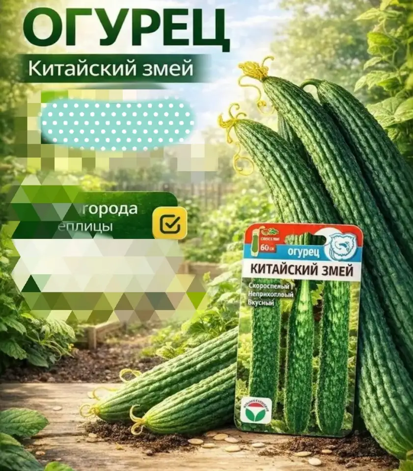 Огурцы салатные 1кг в день теплица китайский змей, фотография 2
