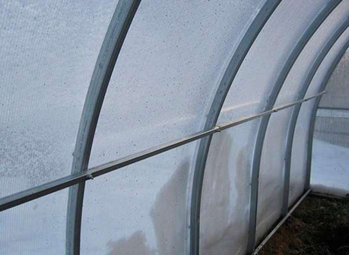 Теплицы с двойной оцинковкой, цельногнутые. Акция, фотография 3